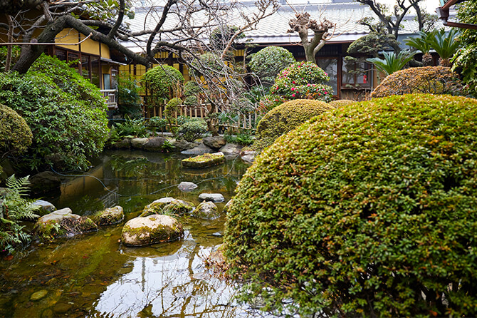 近代造園のスタイルを確立したといわれる小川治兵衛が造った庭は、四季折々、花に彩られる