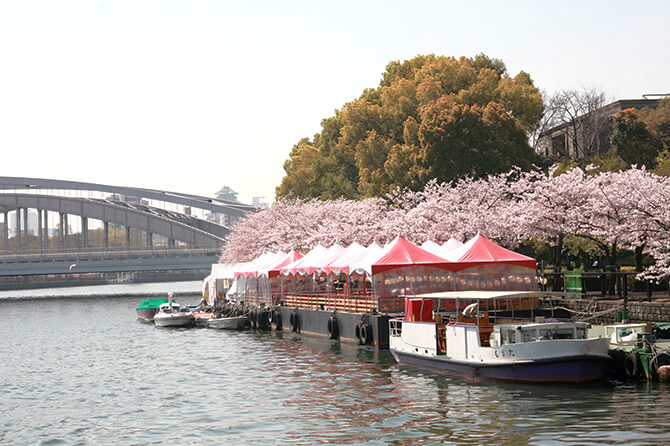 源八橋を南に歩くとOAP港があり、この時期はさまざまな「さくら船」が運航する。奥は「銀橋」の名で親しまれる桜宮橋。大阪城天守閣も見えるⒸ(公財)大阪観光局